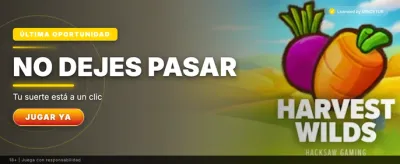 Banner de Casino Dragon Hatch Olimpo Bet