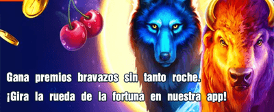Experiencia de Juego Olimpobet
